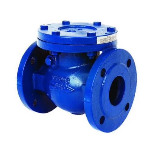 Picture of 100nb C/I Swing Check Valve PN16 170