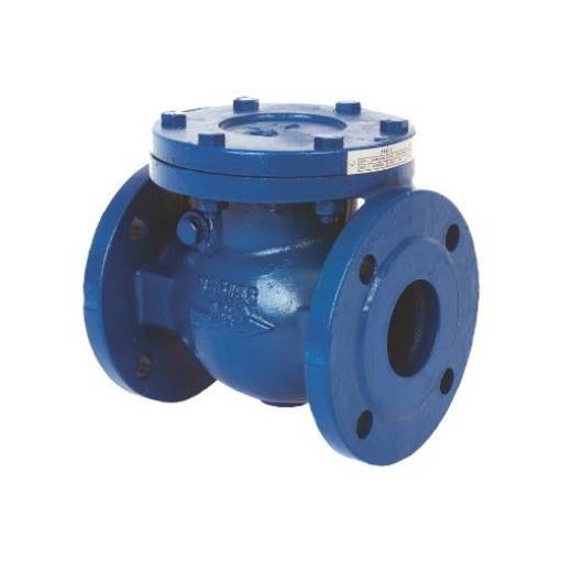 Picture of 2.1/2" CORE 492 PN16 Cast Iron Swing Check Valve
