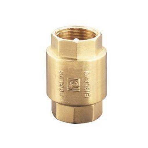 Picture of 40nb Pegler PT Brass Spring Check Valve 1063