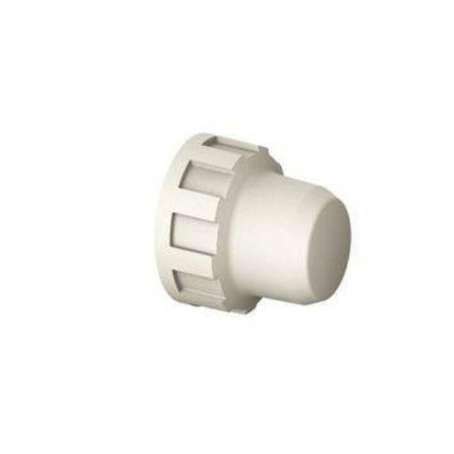 Picture of 50mm Female Cap 20964