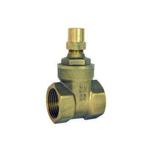 Picture of 40nb DZR Gate Valve L/S 640LS