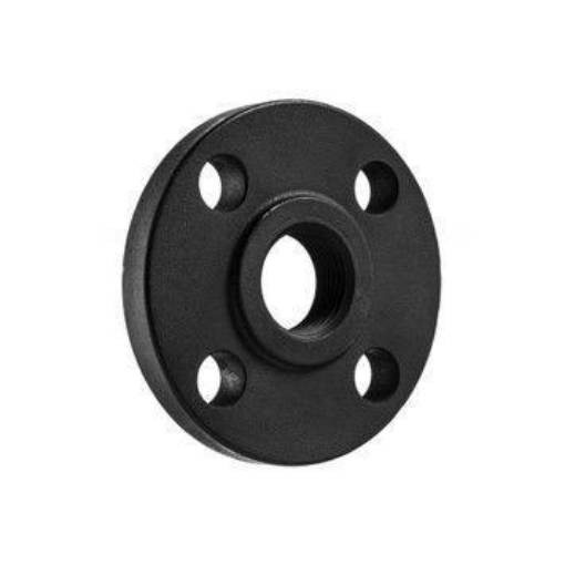 Picture of 25nb ASA150 Flange Screwed BSP